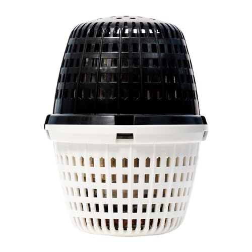 PoolRX Plus water clarity in pool enhances sparkling looks and feels inviting