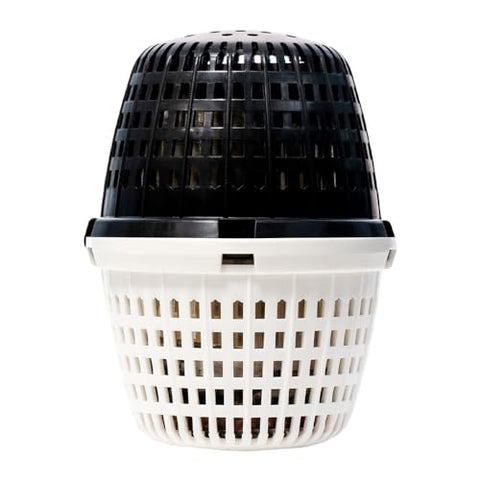 PoolRX Plus water clarity in pool enhances sparkling looks and feels inviting