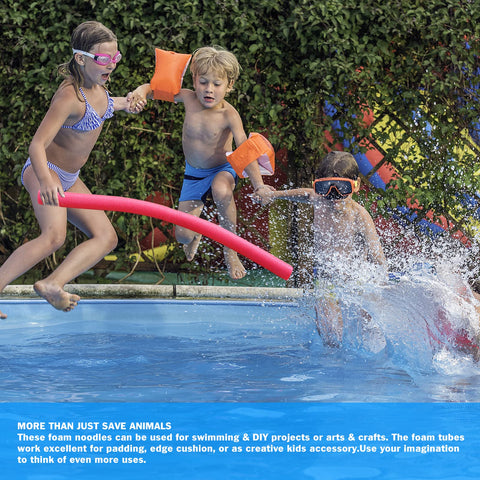 Poolvio bright escape ramp highly visible next to a pool edge
