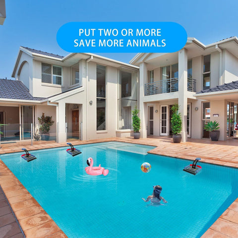 Poolvio ramp with textured surface providing secure grip for critters