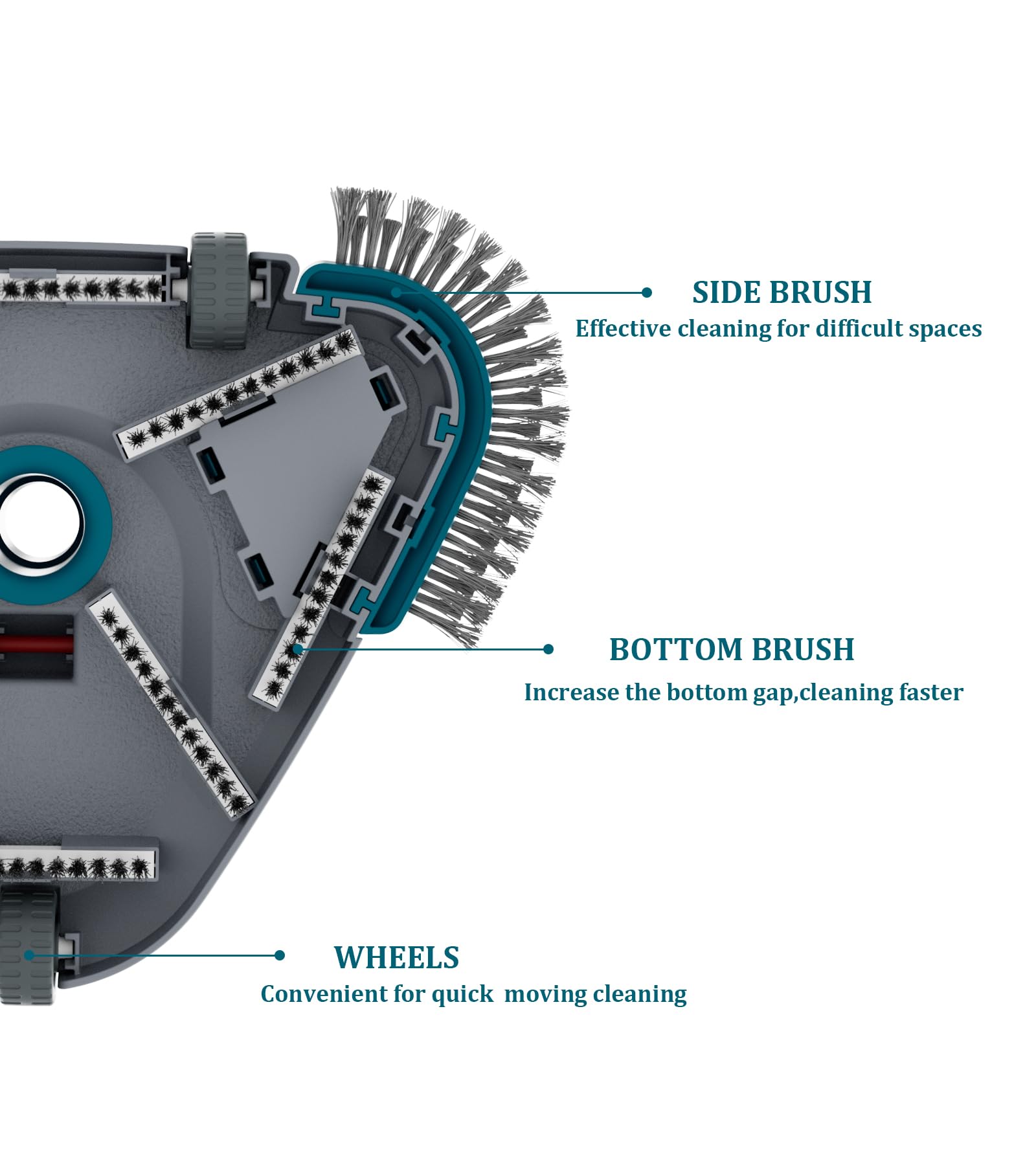 POOLWHALE angled bristles sweep tight corners for debris in hard-to-reach areas.