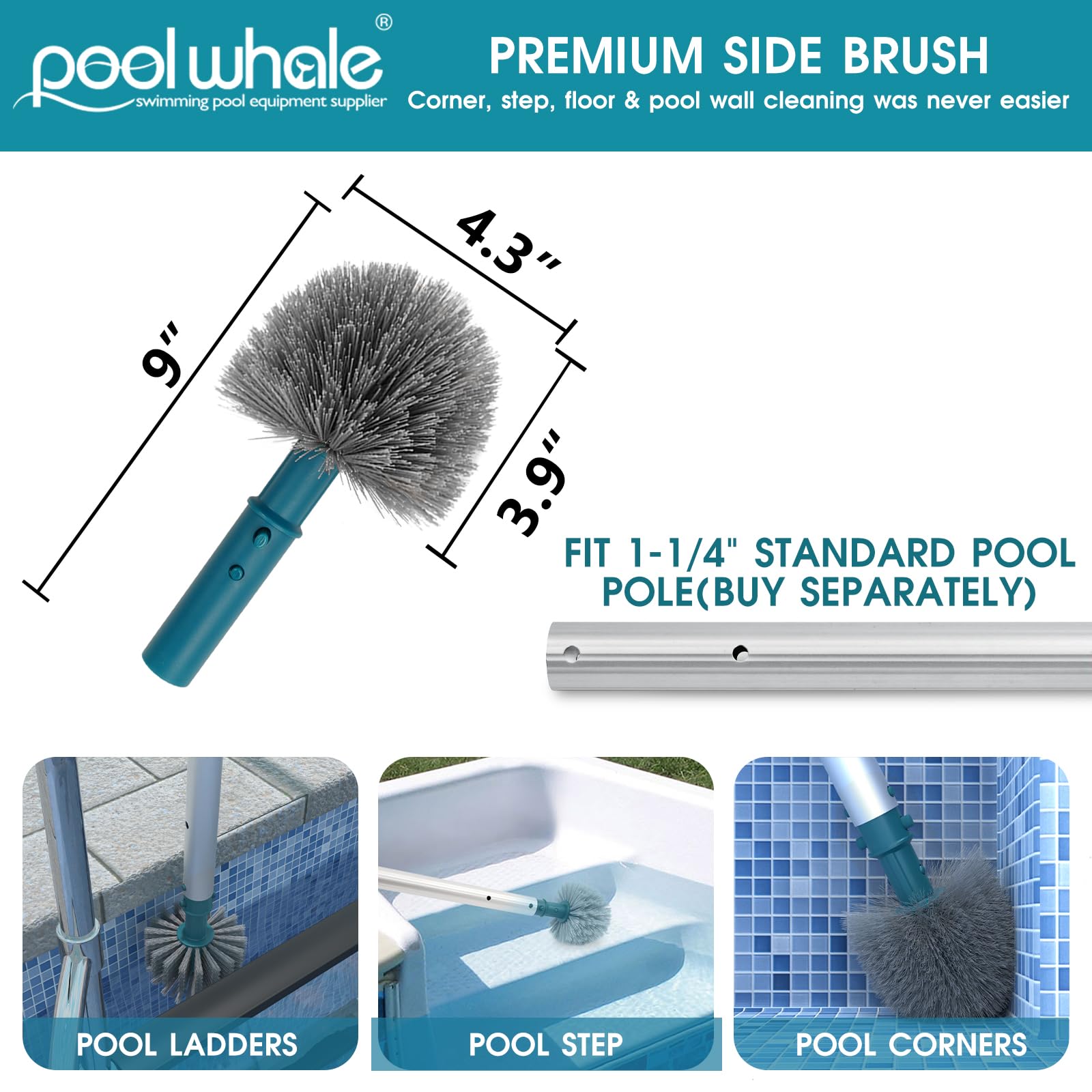 PoolWhale corner brush is removable for edge and tile line cleaning.