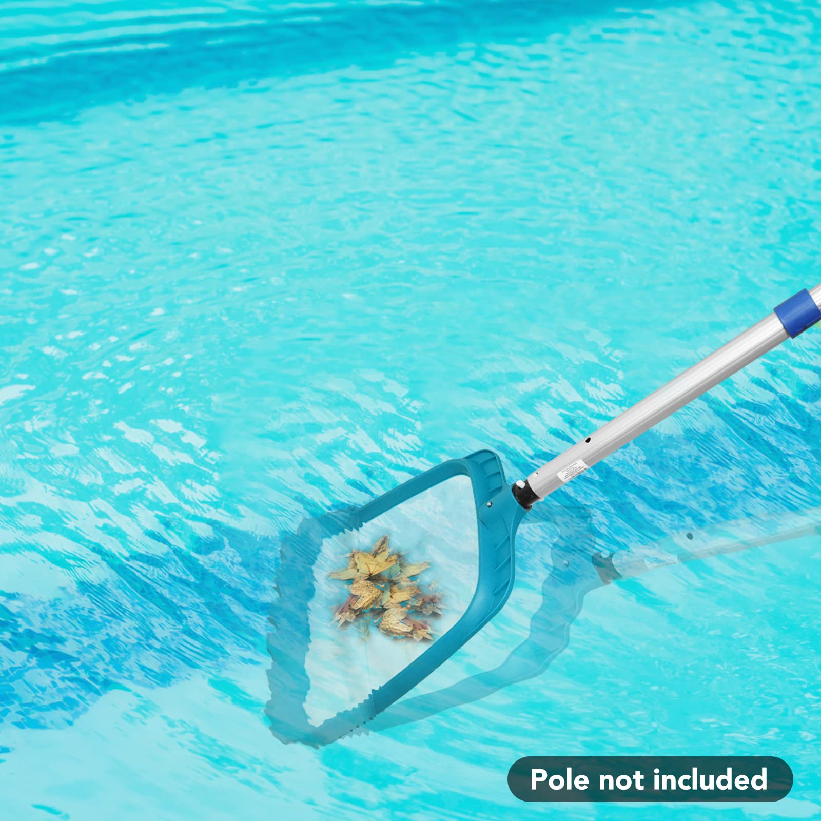 POOLWHALE leaves and debris cleanup in pools and spas
