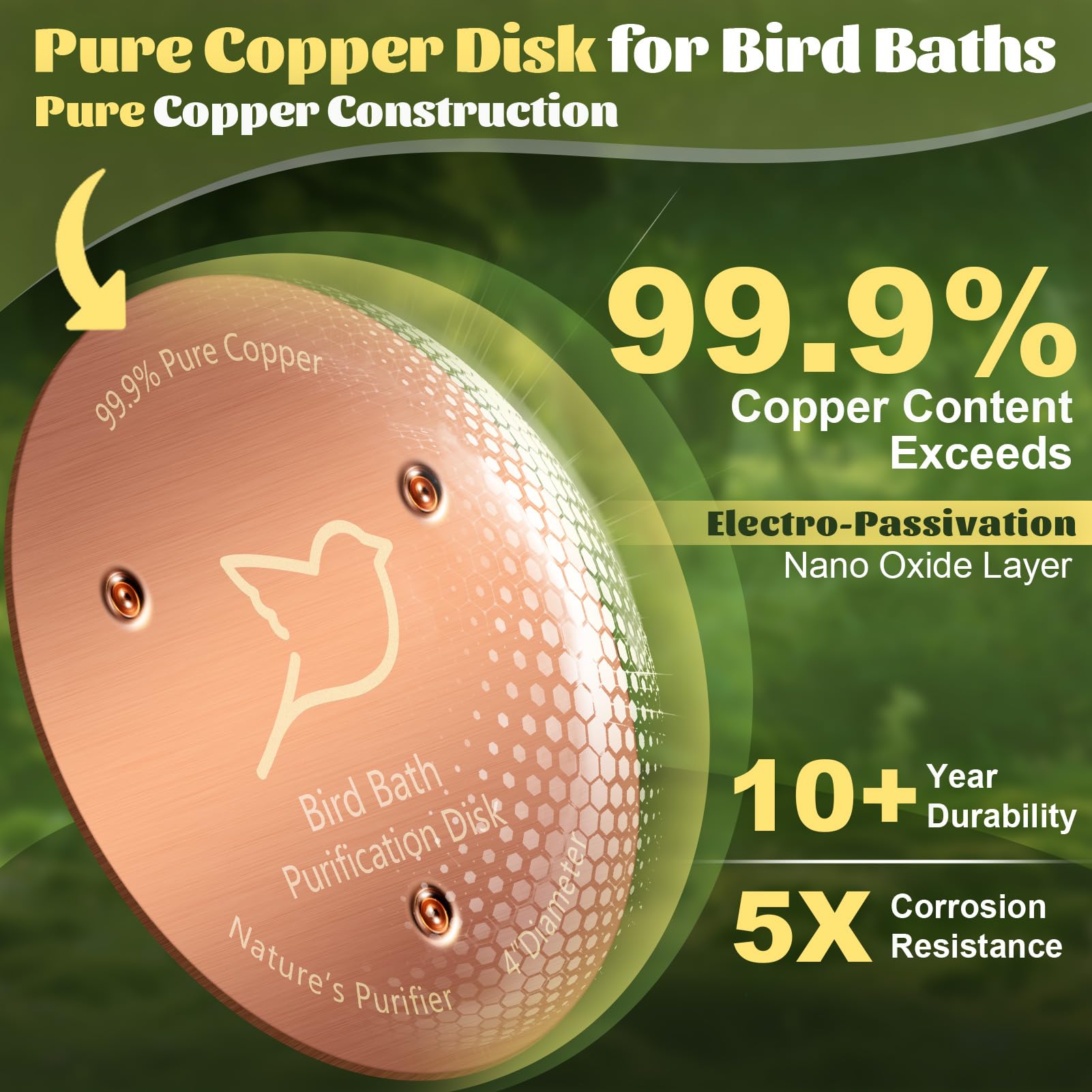POUMEE two-pack copper disks for easy replacement and ongoing care