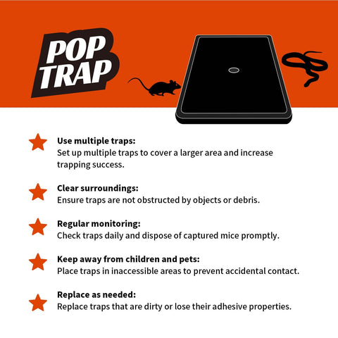 POPTRAP Rat Trap — suitable for indoor and outdoor use, blends with surroundings.