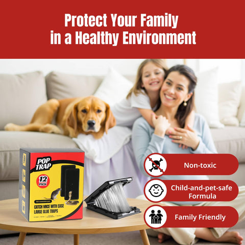 POPTRAP Rat Trap SmallSize 12-pack — multiple placements for home coverage.