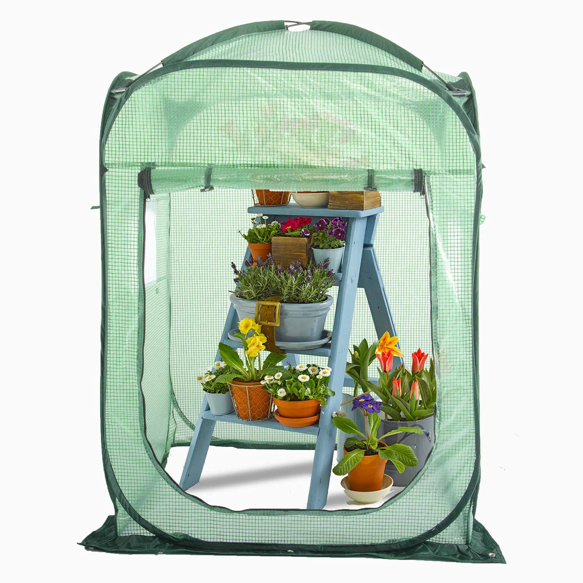 Porayhut pop up greenhouse front view showcases spacious walk-in design for easy plant care.