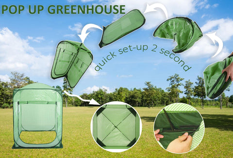 Porayhut pop up greenhouse size 94x94x122 cm offers ample plant space.