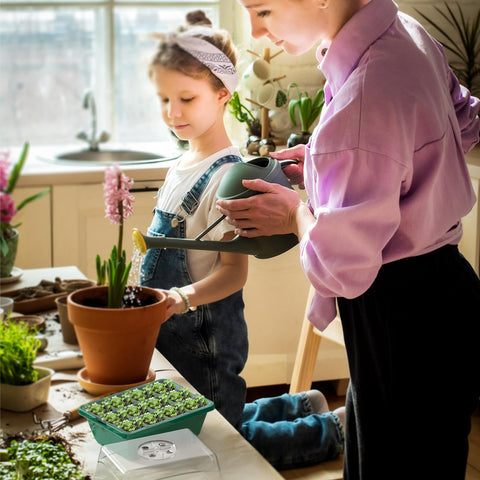 POROLIR healthy seedlings benefit from controlled moisture and light.