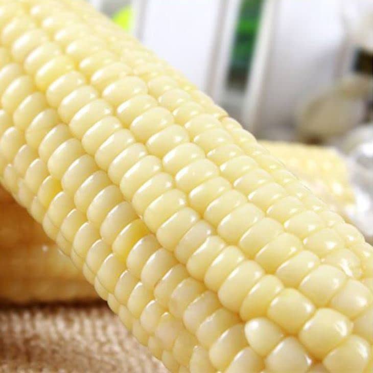 Portal Cool 50 sweet white sticky corn seed for home gardens and easy harvest