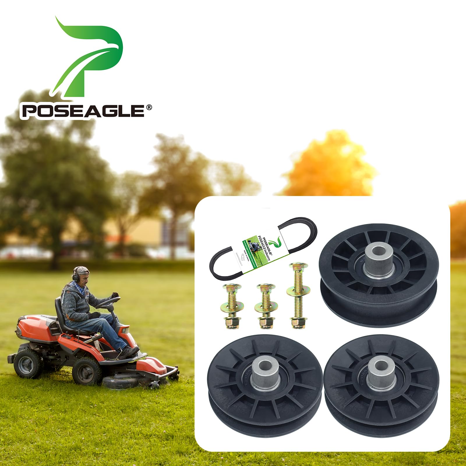 POSEAGLE 532194327 flat idler pulley for stable drive.
