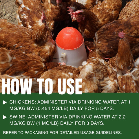 Postaid dewormer feed dispense showing convenient poultry use