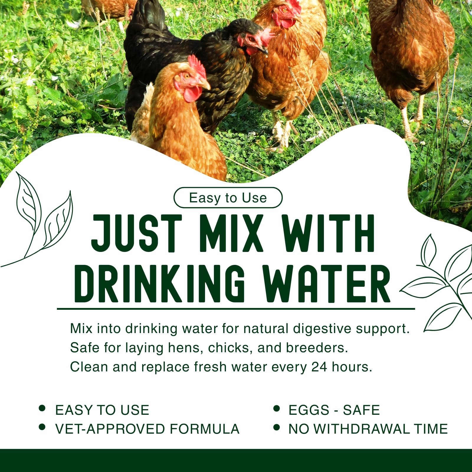 Postaid dewormer applied in a small flock setup for daily egg collection