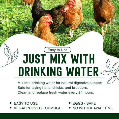 Postaid dewormer applied in a small flock setup for daily egg collection
