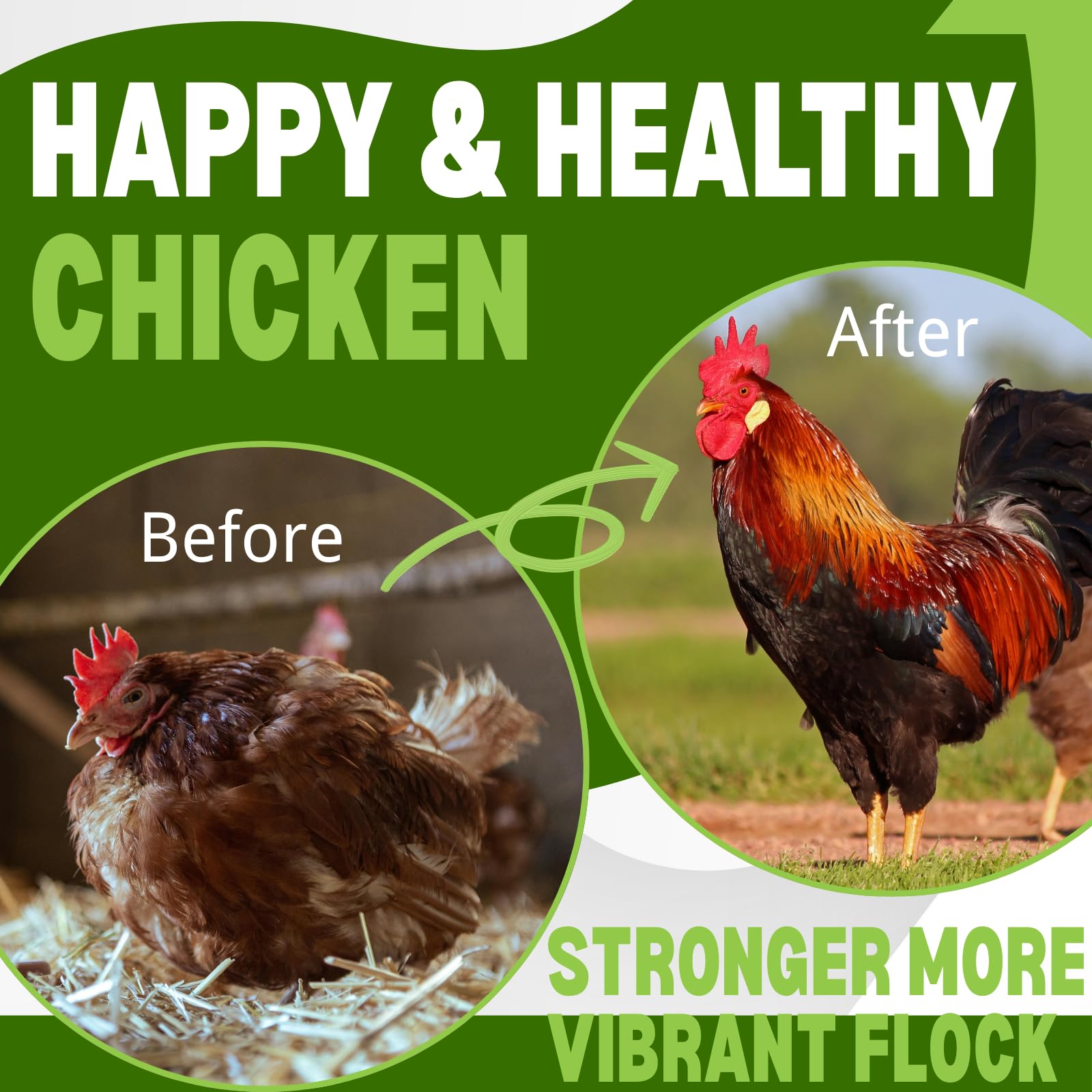 Postaid dewormer added to poultry feed for broad-spectrum support