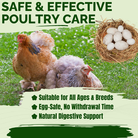 Postaid dewormer mixed in water ready for poultry use
