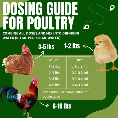 Postaid Ivermect chicken de-wormer label closeup highlighting ingredients and USA-made quality