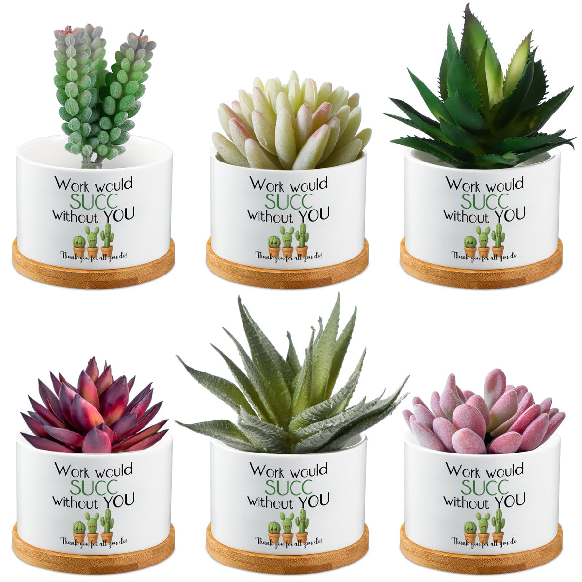 Potchen 6pc mini succulent pots with bamboo trays on a tidy desk setup.