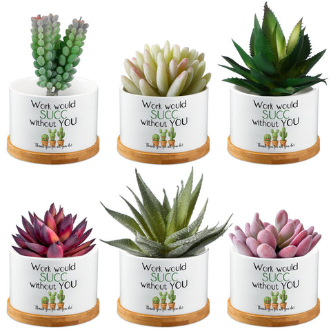 Potchen 6pc mini succulent pots with bamboo trays on a tidy desk setup.