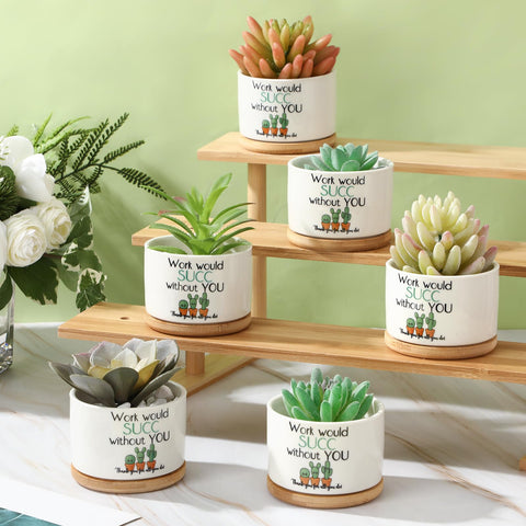 Potchen cactus-design appreciation gift adds playful office decor.