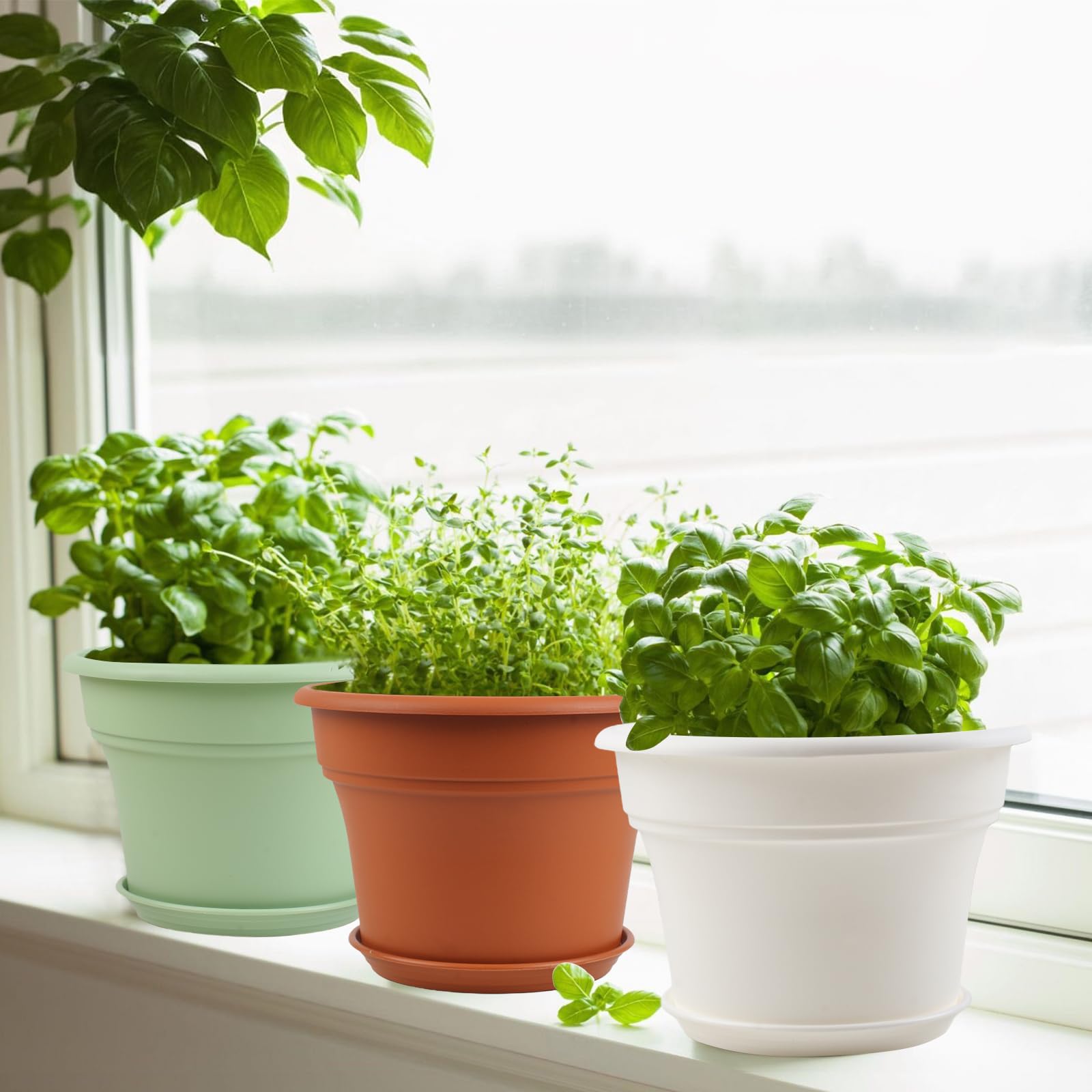 Pottiffe green 10-inch plastic pot with sleek design for herbs or blooms.