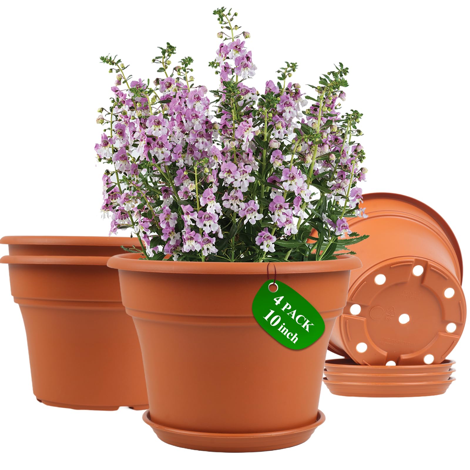 Pottiffe white 10-inch pot, weather resistant for indoor and outdoor use.