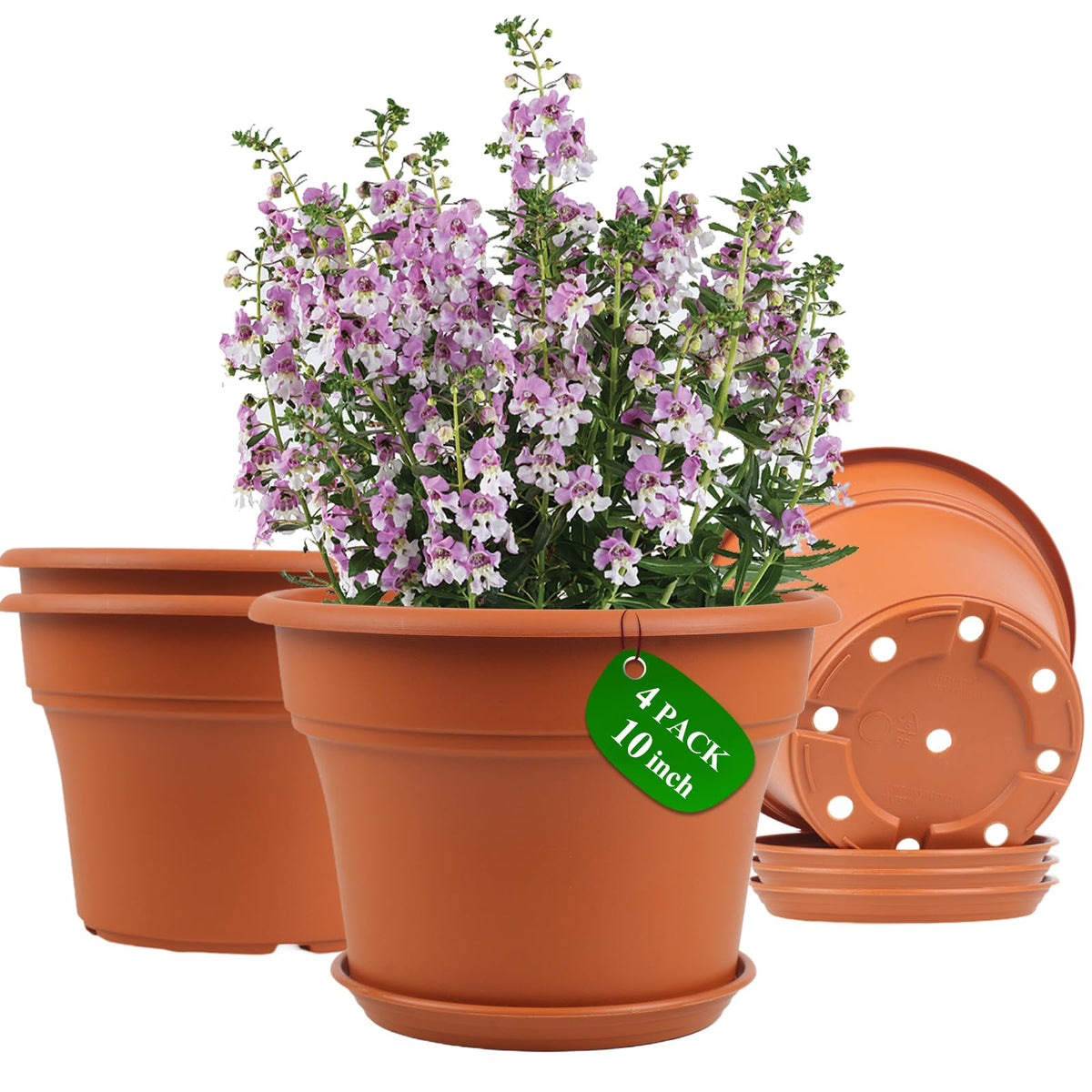 Pottiffe white 10-inch pot, weather resistant for indoor and outdoor use.