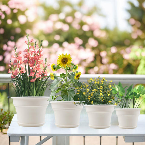 Pottiffe 4-pack planters provide coordinated display for multiple plants.