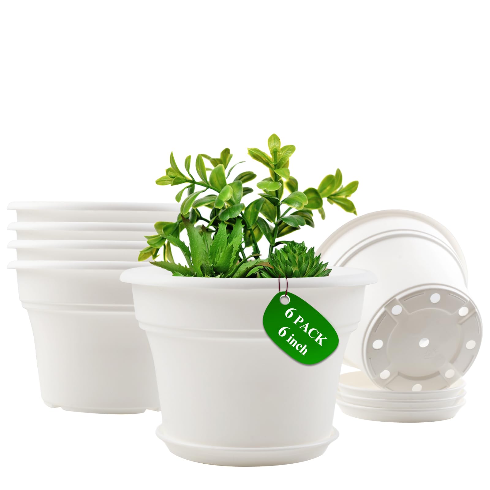 Pottiffe 6-inch plastic flower pot for indoor and outdoor use with versatile display.