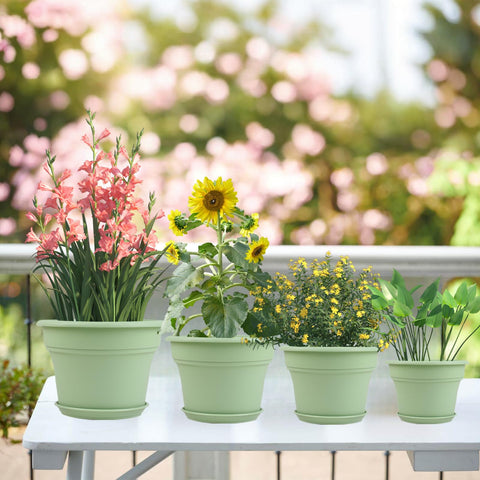 Pottiffe outdoor planter with drainage holes to prevent overwatering.
