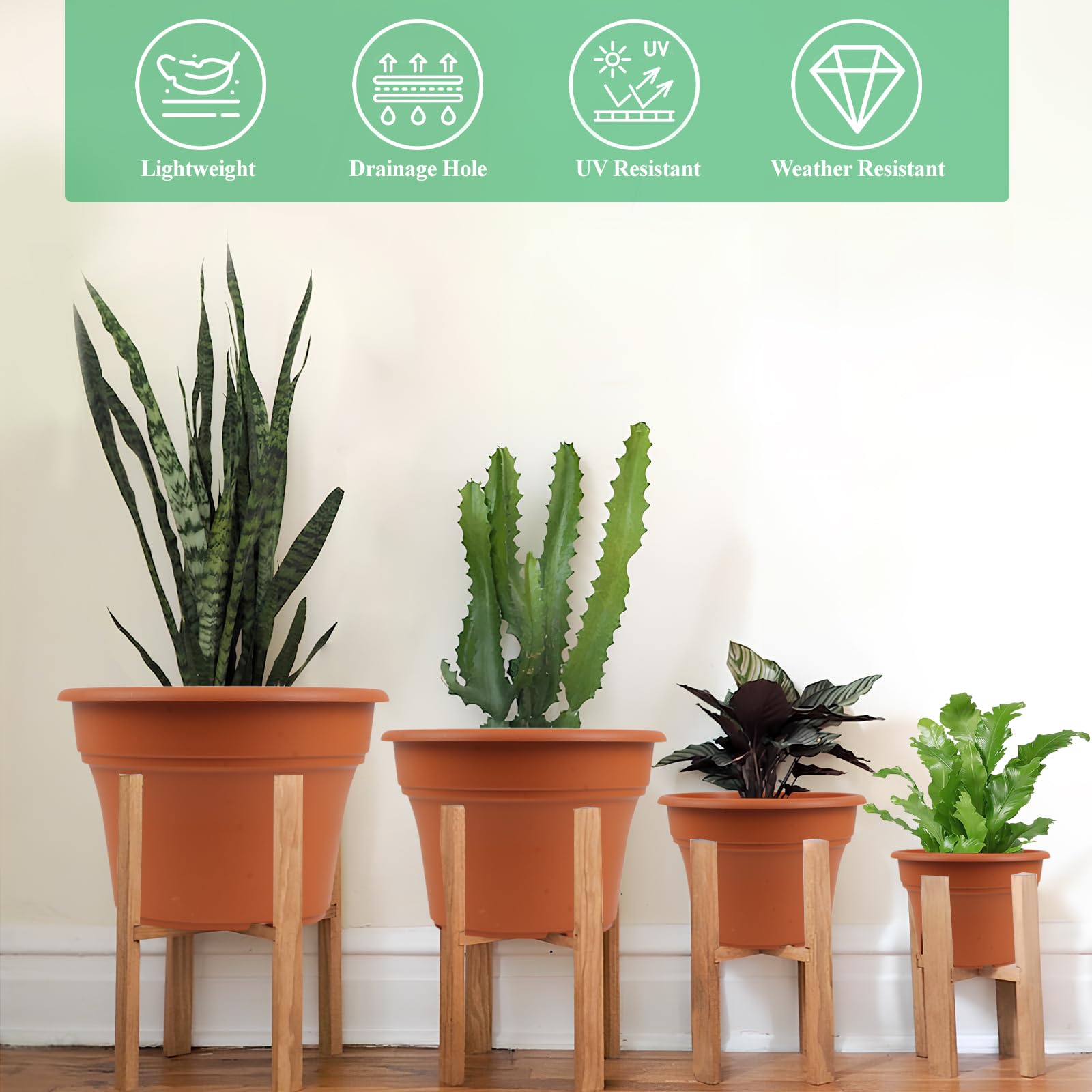 Pottiffe planters with matching saucers prevent water spills.