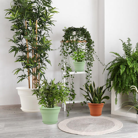Pottiffe pack of 6 planters ideal for small to medium plants like succulents.