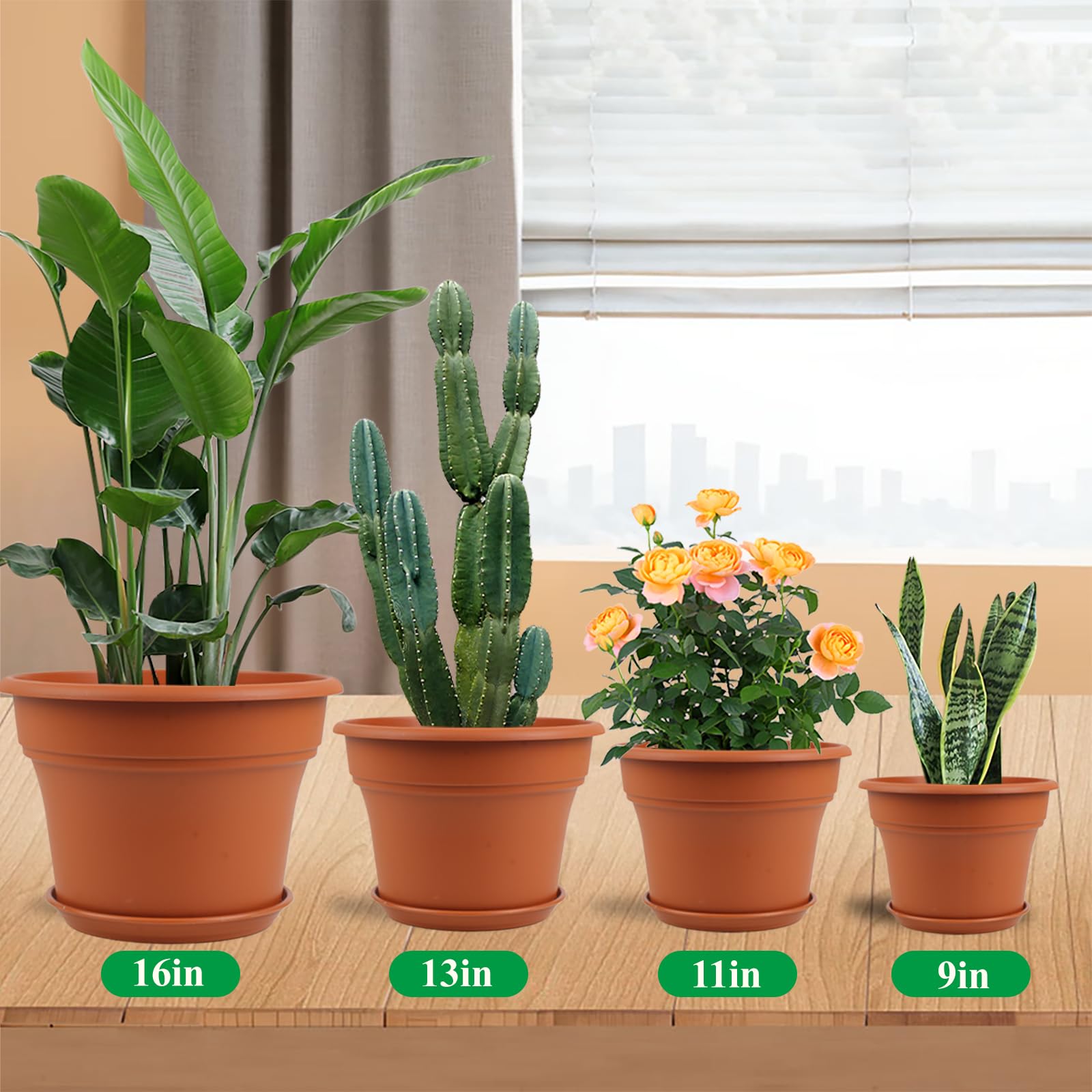 Drainage holes ensure airflow and prevent overwatering in plants.