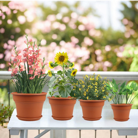 Pottiffe plastic pot set suitable for orchids succulents and herbs.