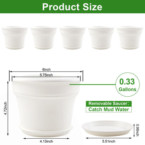 Pottiffe plastic pot with saucer to catch overflow and protect surfaces.