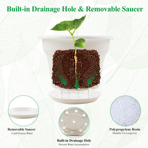 Pottiffe rolled-rim 6-inch pot for easy lifting and relocation.