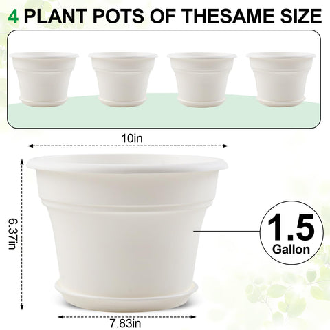 Pottiffe rolled-rim design allows easy lifting and moving.