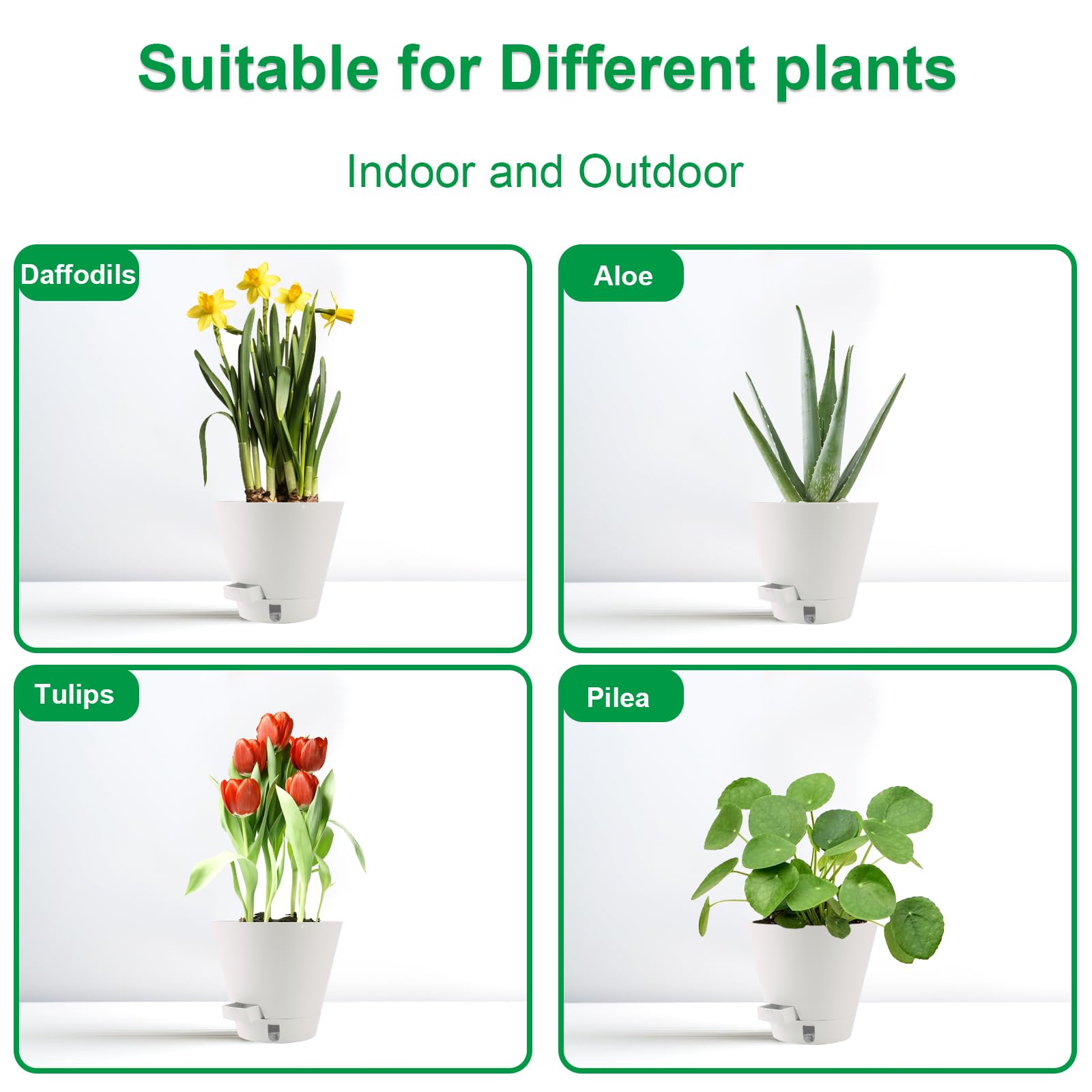 Pottiffe 8-inch indoor-outdoor pot illustrates versatile placement options