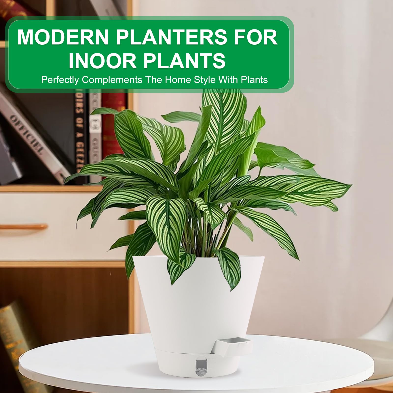 Pottiffe 8-inch minimalist design suits modern homes and offices
