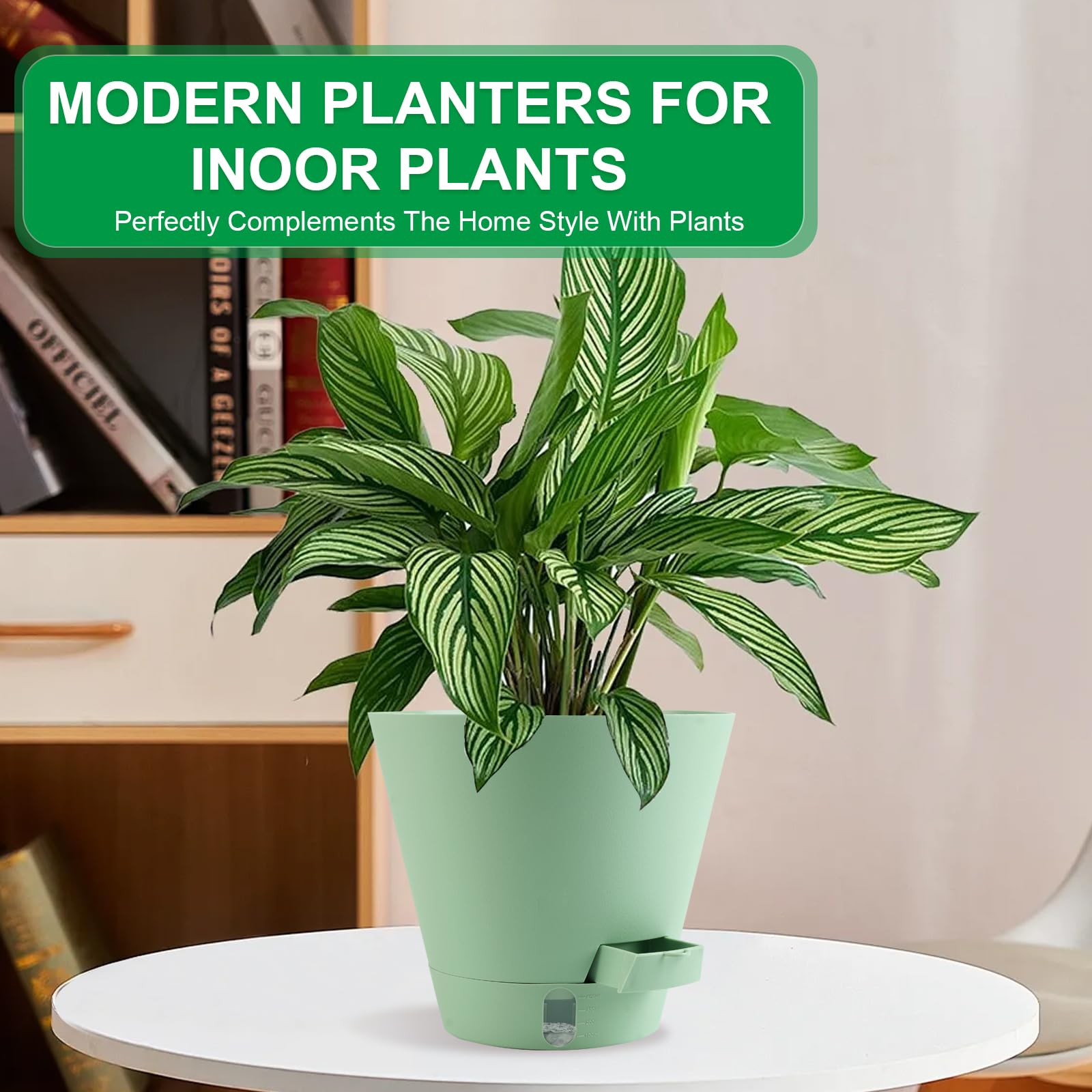 Pottiffe sleek minimalist planter pack for modern interiors