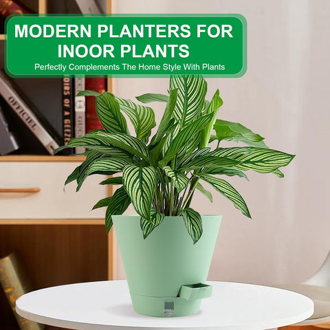 Pottiffe sleek minimalist planter pack for modern interiors