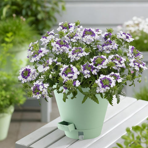 Pottiffe UV-resistant indoor/outdoor plant pot for durable use