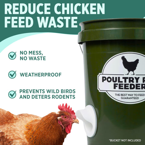 Poultry Pro Feeder installed on a bucket demonstrates versatile container compatibility.