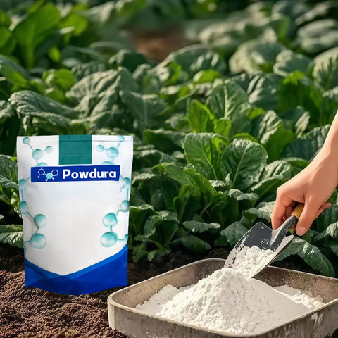 Powdura Calcium Hydroxide alkaline powder ready for soil pH management