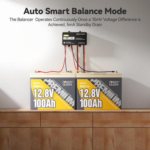 Power Queen 4x12V balancer ports enabling versatile 24/36/48V configurations.