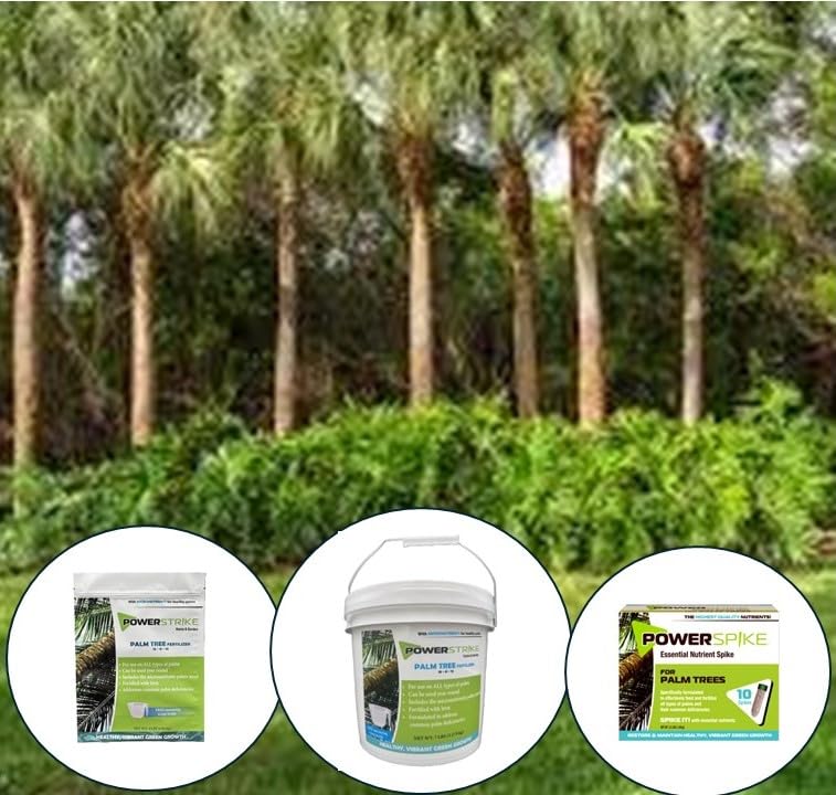 Power Spike root-zone feeding action showing spike release nutrients near roots for healthier palms.