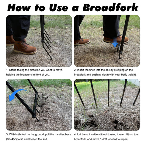 Powerber Broadfork in dense soil demonstrating aeration without disturbing layers