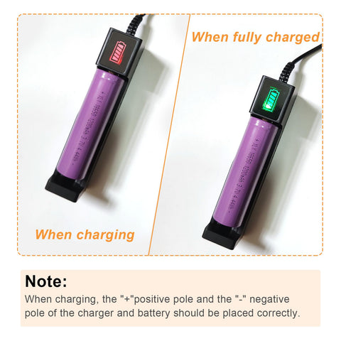 Powerful LED egg candler is portable for indoor and outdoor candling.