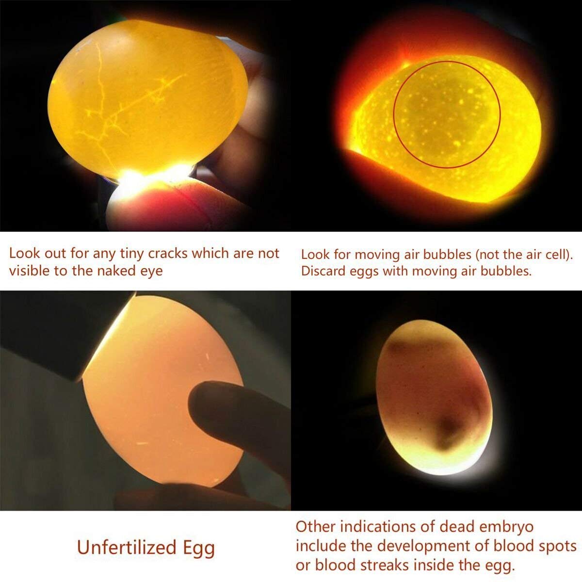 Powerful egg candler with wall charger included for quick setup.