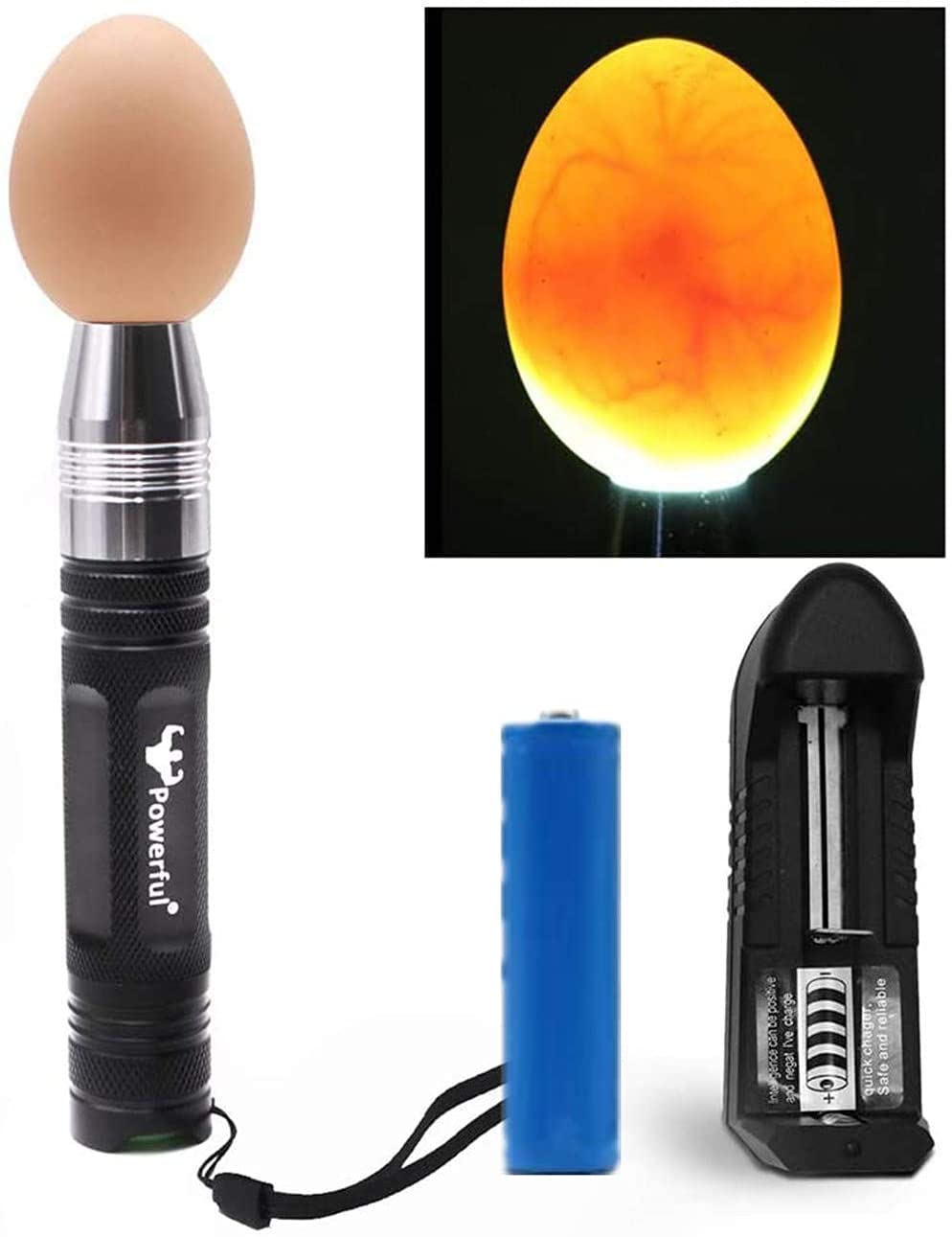 Powerful LED egg candler front view with ultra-bright light for clear candling.
